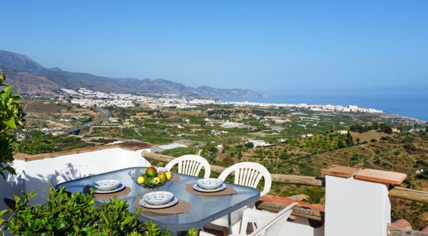 Photo of Camelia Blanca