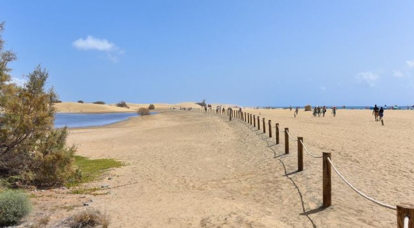 Photo of Charca CM18