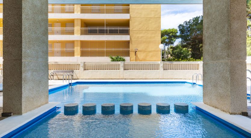 Photo of Hortensia - Primera Linea