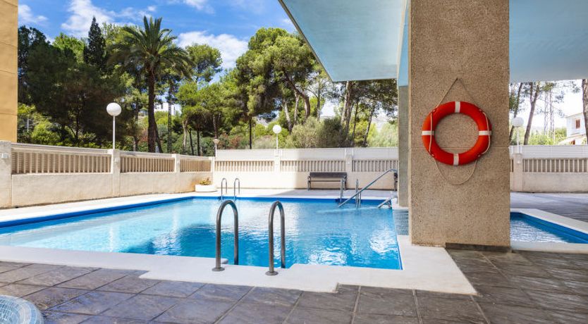 Photo of Hortensia - Primera Linea