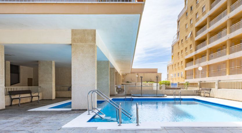 Photo of Hortensia - Primera Linea