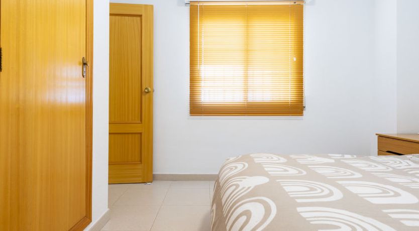 Photo of Hortensia - Primera Linea