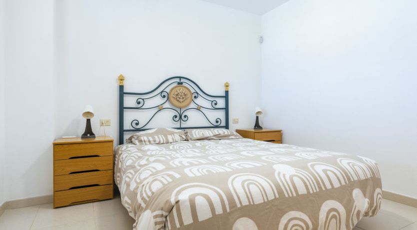 Photo of Hortensia - Primera Linea