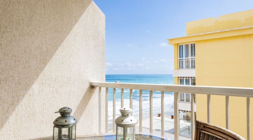 Photo of Hortensia - Primera Linea