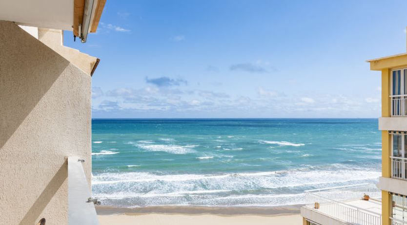 Photo of Hortensia - Primera Linea