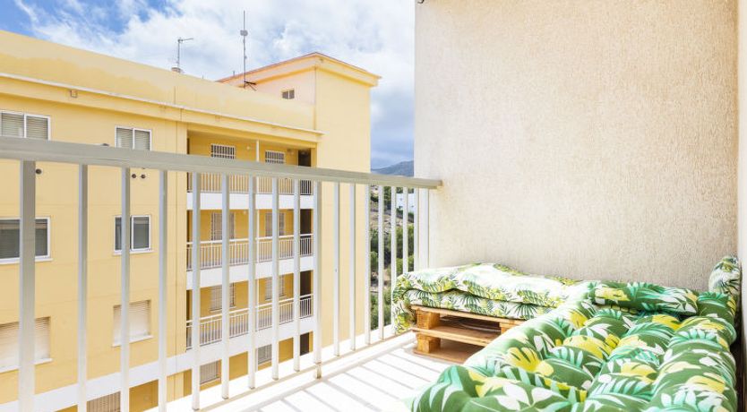 Photo of Hortensia - Primera Linea