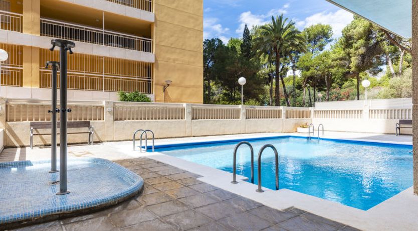 Photo of Hortensia - Primera Linea