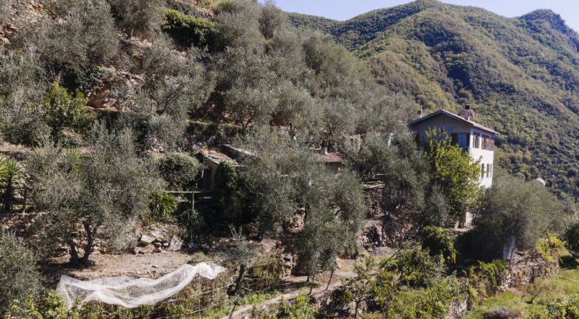 Photo of Ca de Isodor