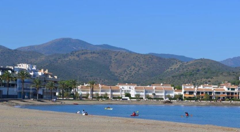 Photo of Tortuga