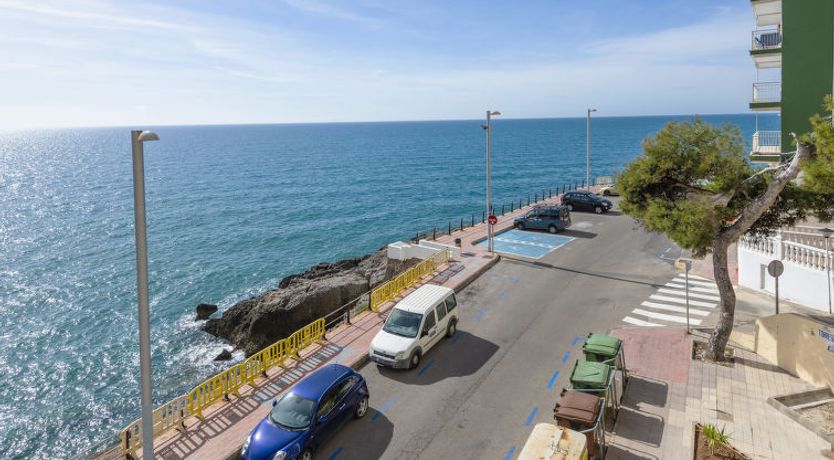 Photo of Torreslandia Mar