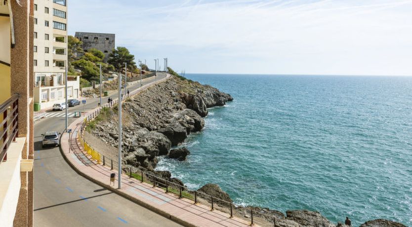 Photo of Torreslandia Mar