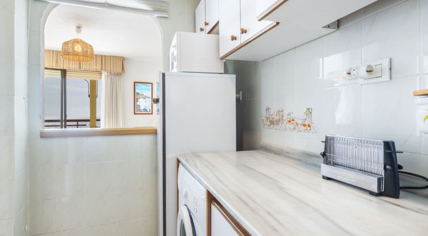 Photo of Torreslandia Mar