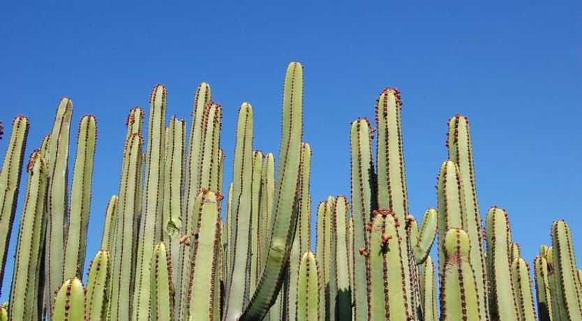 Photo of Salobre Golf Resort