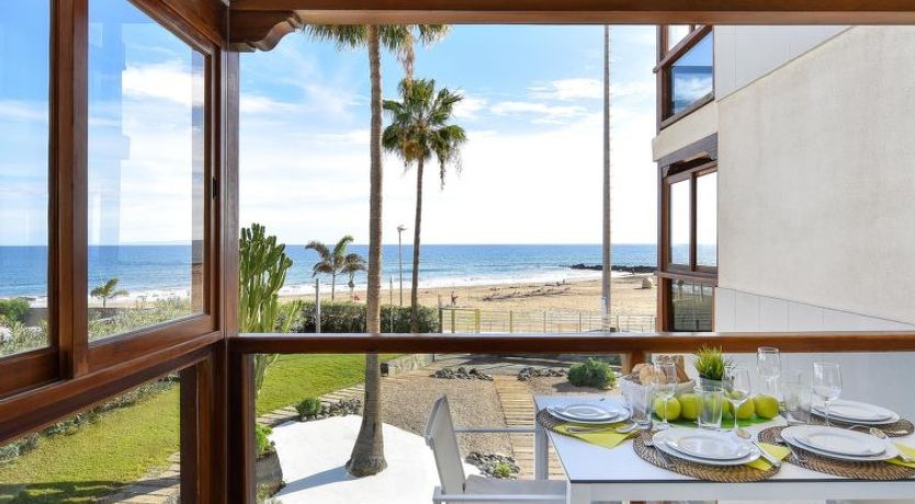 Photo of Papagayo San Agustin