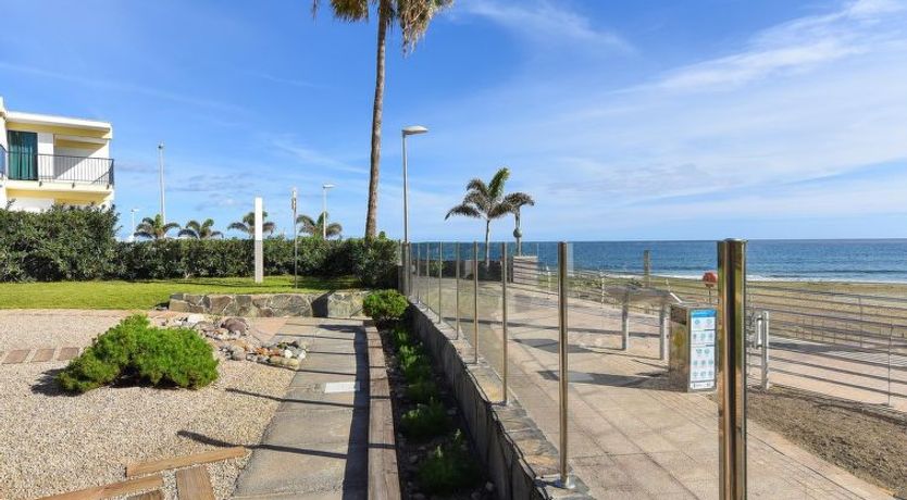 Photo of Papagayo San Agustin