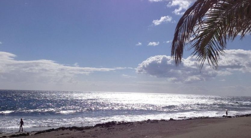 Photo of Papagayo San Agustin