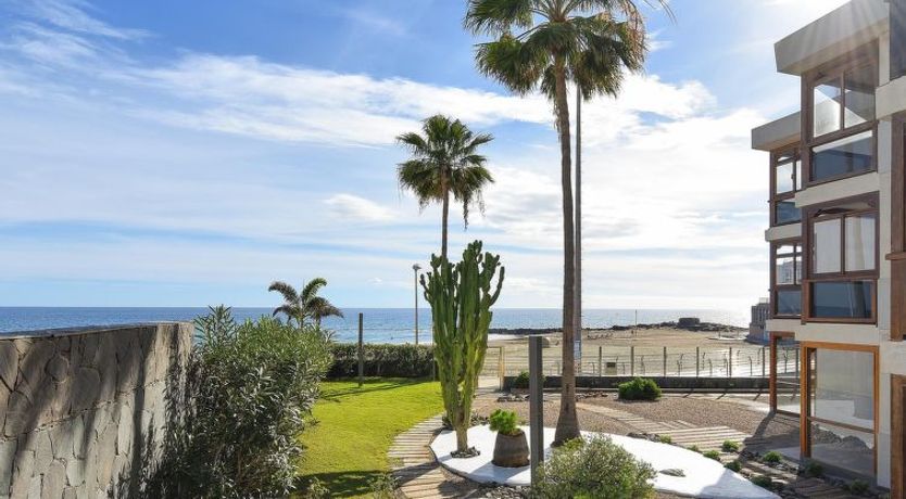 Photo of Papagayo San Agustin