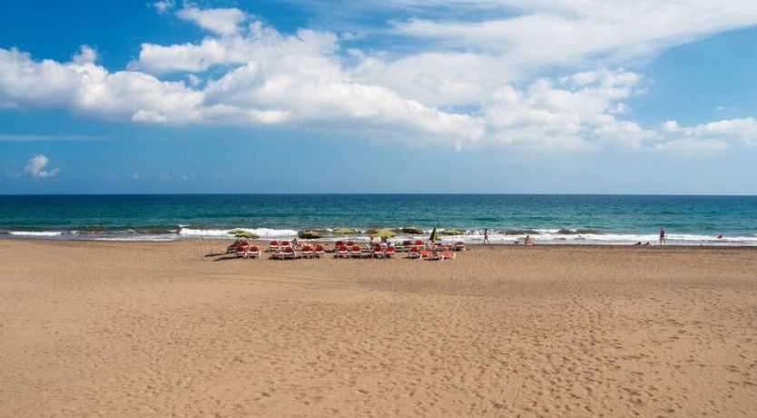 Photo of Papagayo San Agustin