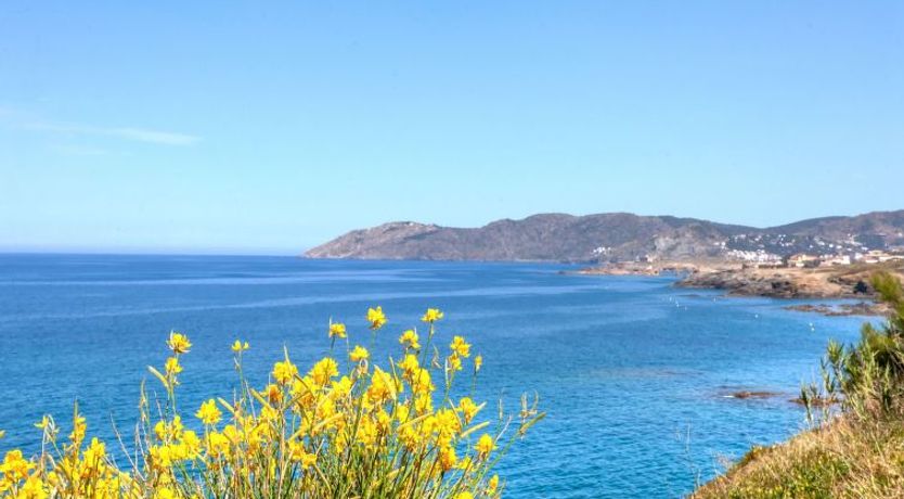 Photo of Palmiers I Apartment 6