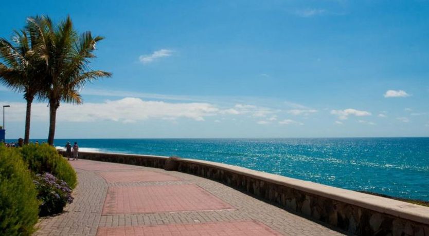 Photo of Meloneras 7