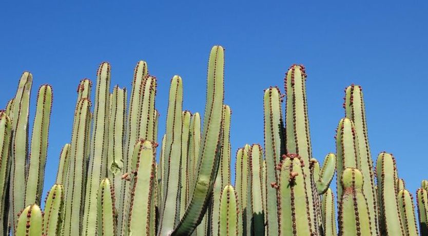 Photo of Tipo 3 dormitorios