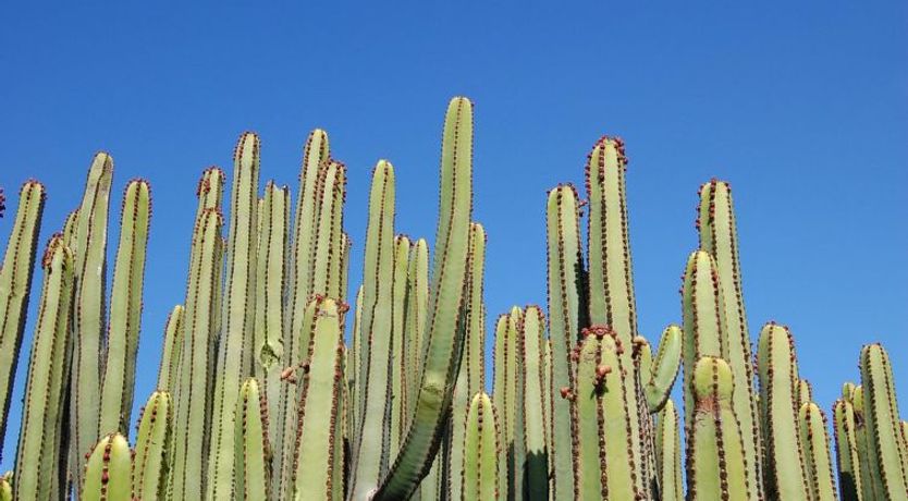 Photo of Salobre Golf Resort