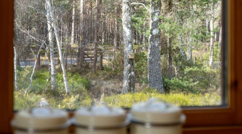 Photo of Osprey House