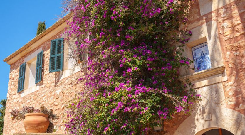 Photo of Gran Llombards