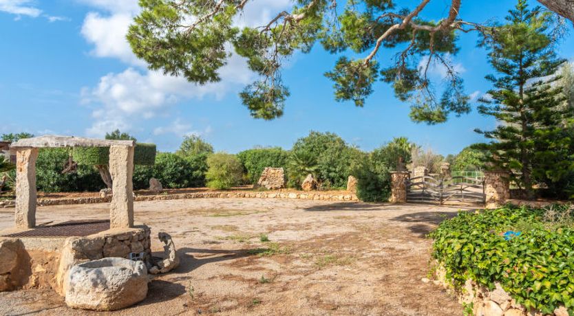 Photo of Es Garrigo de Son Mora