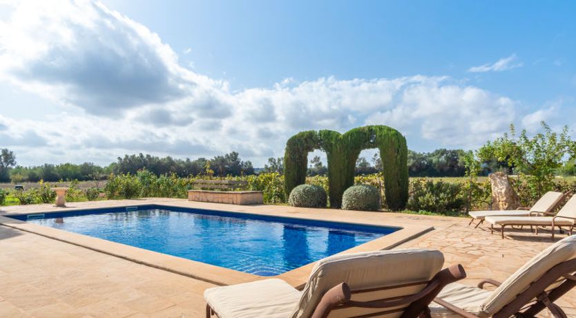 Photo of Es Garrigo de Son Mora