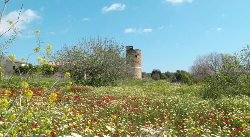 Photo of Es Garrigo de Son Mora