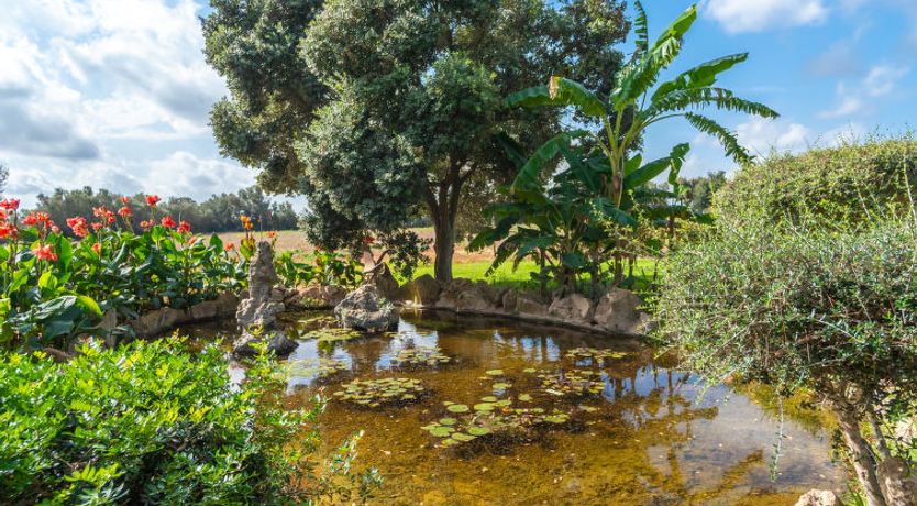 Photo of Es Garrigo de Son Mora