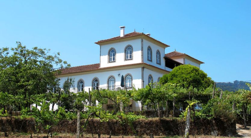 Photo of De Ferreira