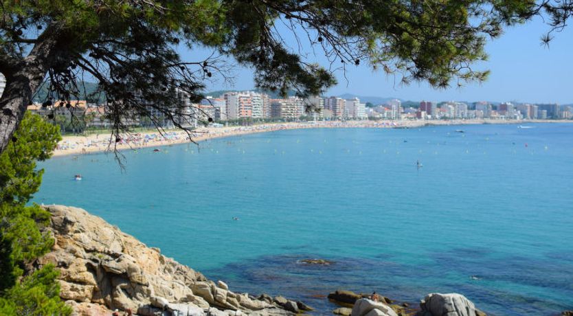 Photo of El Moli