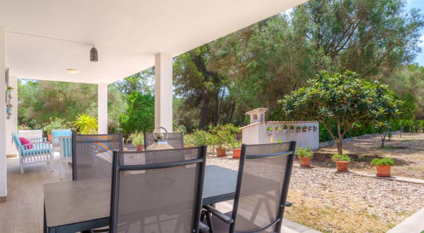 Photo of Finca Son Baulo