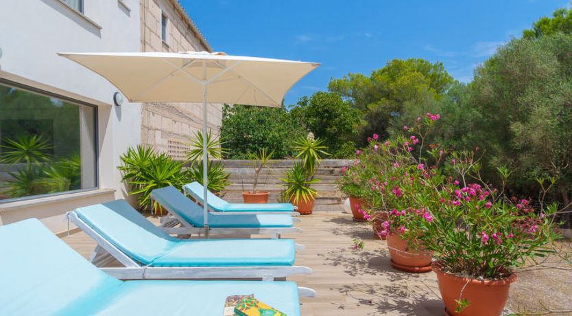 Photo of Finca Son Baulo