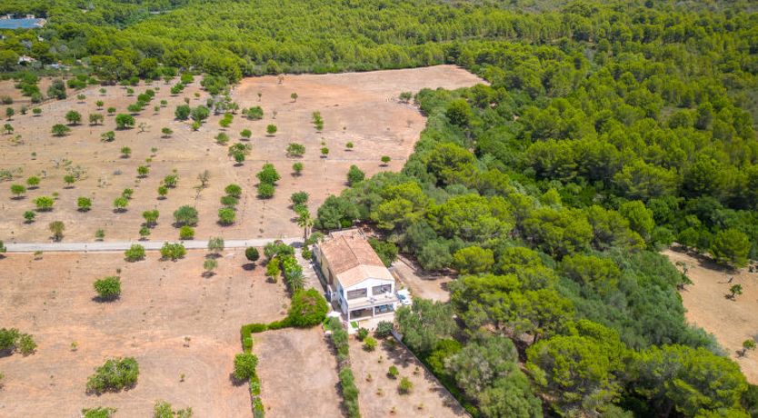 Photo of Finca Son Baulo