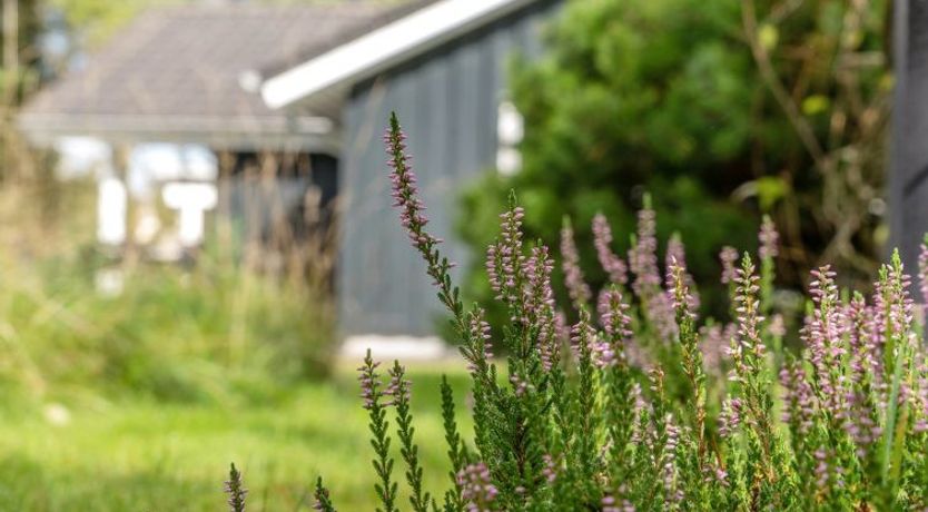 Photo of "Grimi" - 4km from the sea