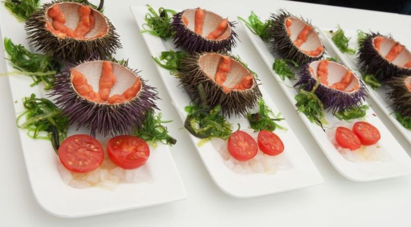 Photo of Xarmada Guillermo