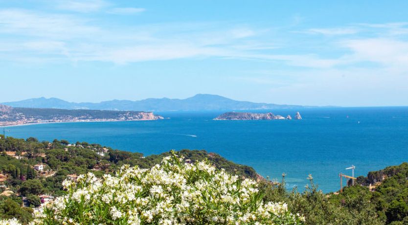 Photo of Xarmada Guillermo