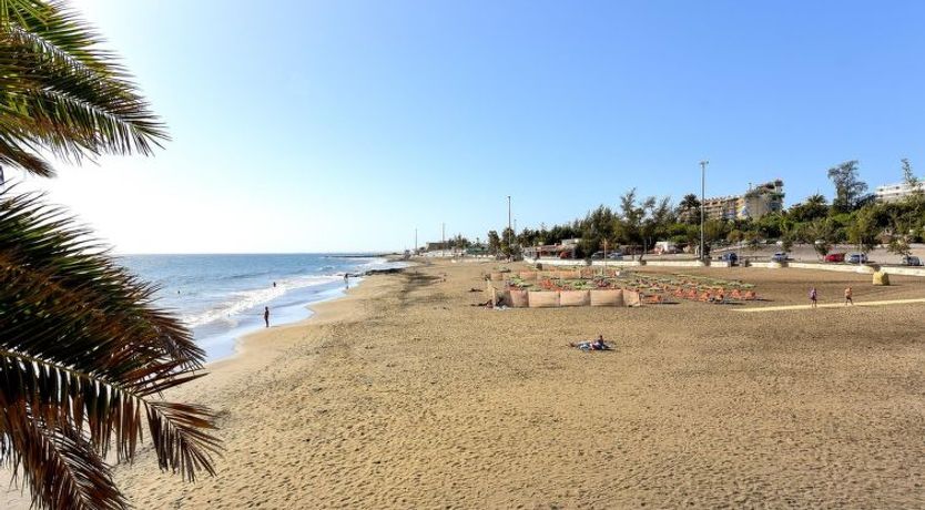 Photo of Nueva Suecia CR715