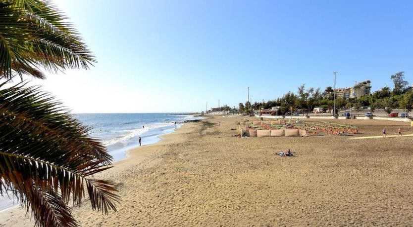 Photo of Studio Nueva Suecia CR715