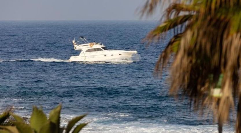 Photo of Penthouse Palm Mar