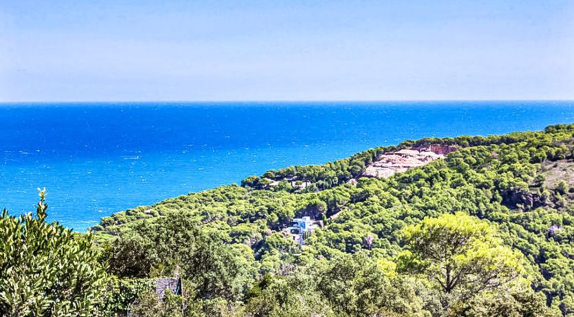 Photo of Jandalo Berria