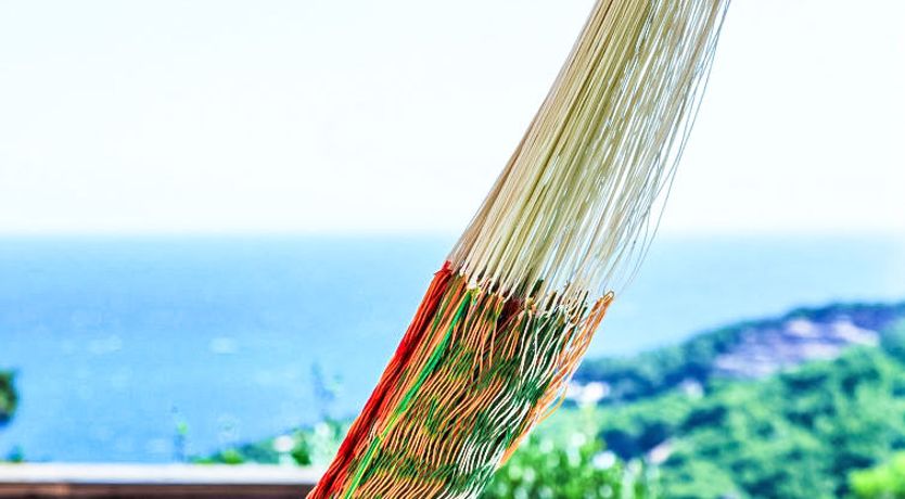 Photo of Jandalo Berria