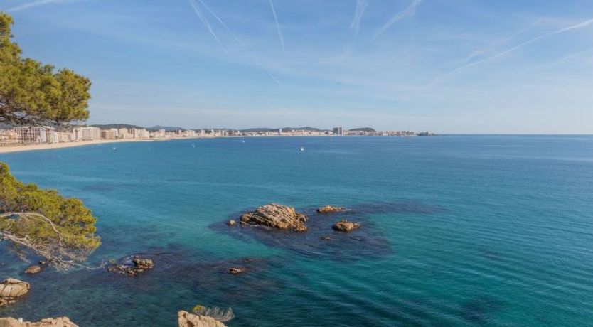 Photo of Bernadette Apartment 3