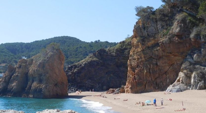 Photo of Melis III C2