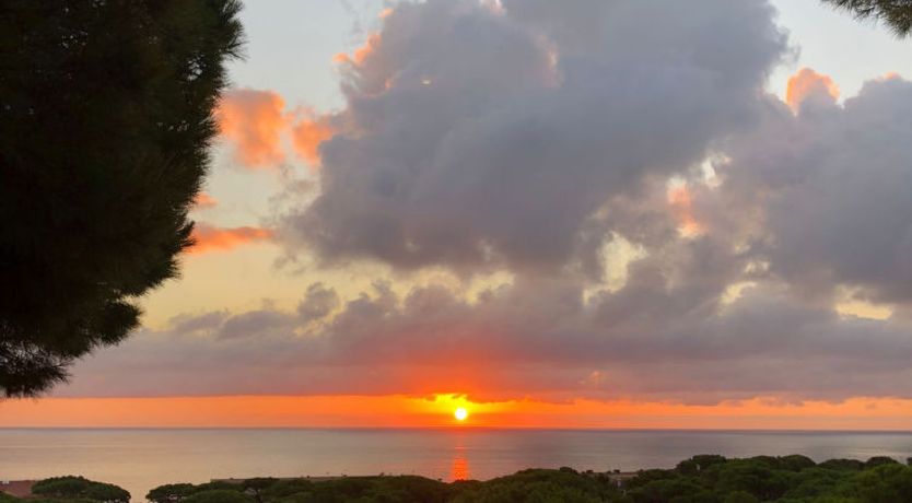 Photo of "Melis II M2 Playa de Pals" Apartment 4