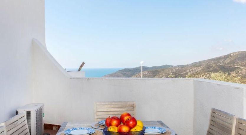 Photo of Perla Blanca