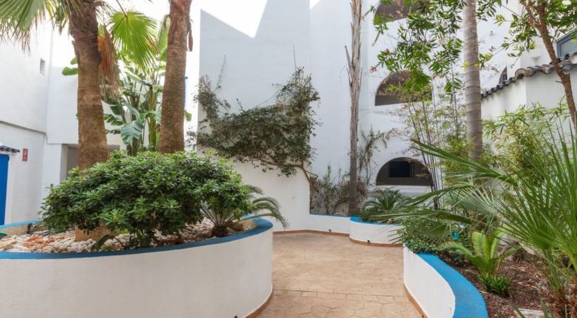 Photo of Perla Blanca